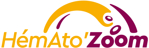 logo_hematozoom Hemato Zoom